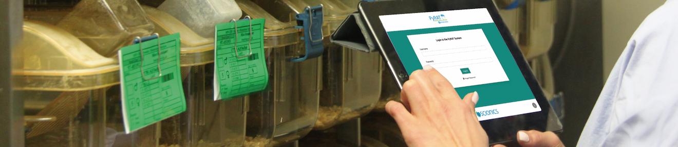 Eine Person, die PyRAT vor einem Tiergestell verwendet